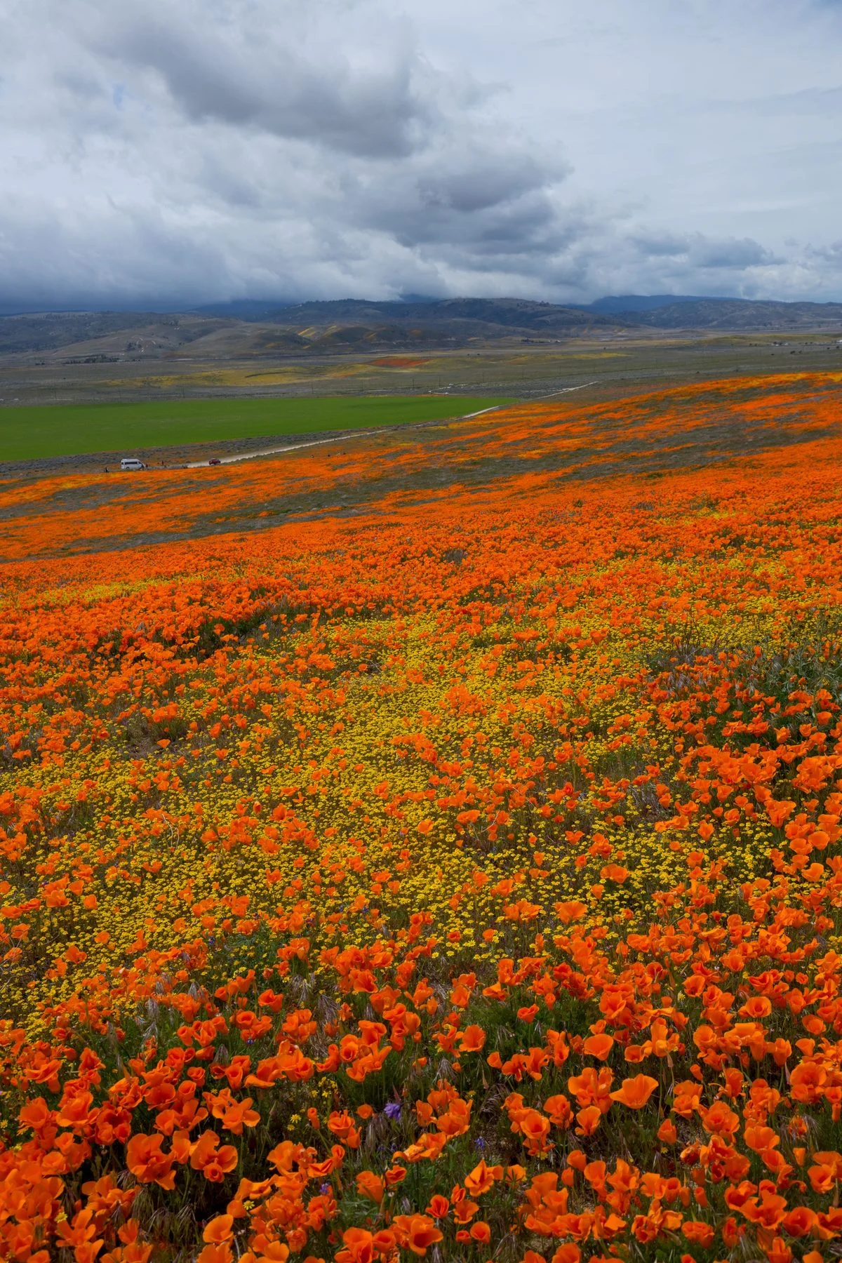 Antelope Valley